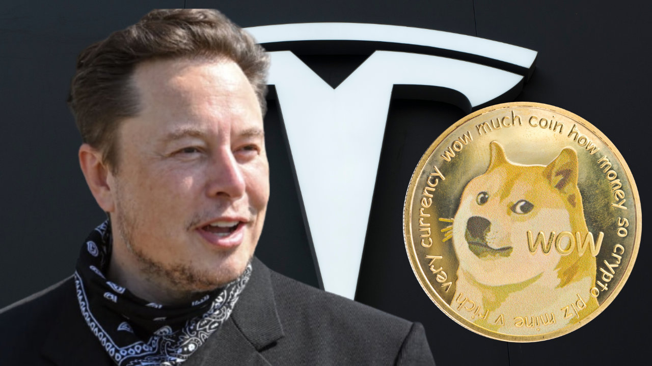 elon musk tesla dogecoin